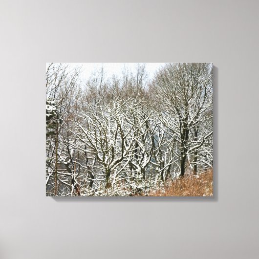 Wintermacclesfield-boskaart Canvas Afdruk (Voorkant)