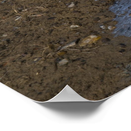 Wintermagie op de Athabasca rivier Poster (Hoek)