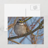 Wintermest-Briefkaart Briefkaart (Voorkant / Achterkant)