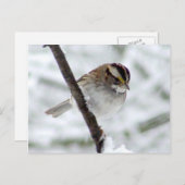 Wintermest-Briefkaart Briefkaart (Voorkant / Achterkant)