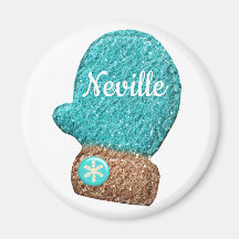 Wintermitten schattige sneeuwvlok blauw bruin wit