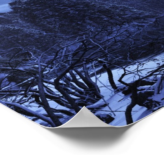 Wintermoon Poster (Hoek)