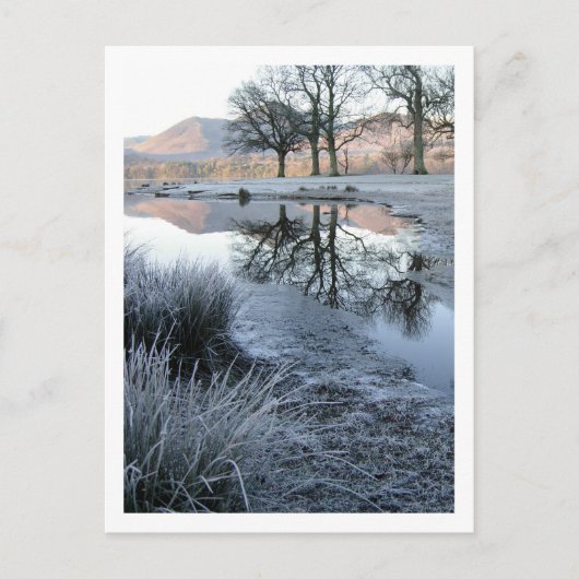 Wintermorgen: Strandshag Bay, Derwentwater Briefkaart (Voorkant)