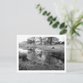 Wintermorgen: Strandshag Bay, Derwentwater Briefkaart (Staand voorkant)