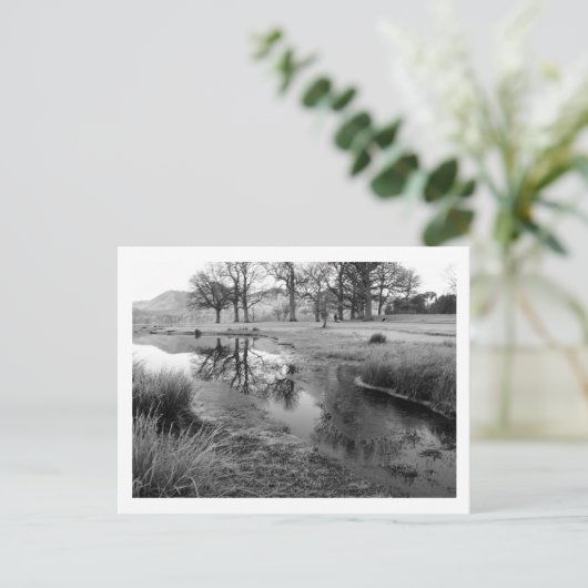 Wintermorgen: Strandshag Bay, Derwentwater Briefkaart (Staand voorkant)
