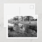 Wintermorgen: Strandshag Bay, Derwentwater Briefkaart (Voorkant / Achterkant)