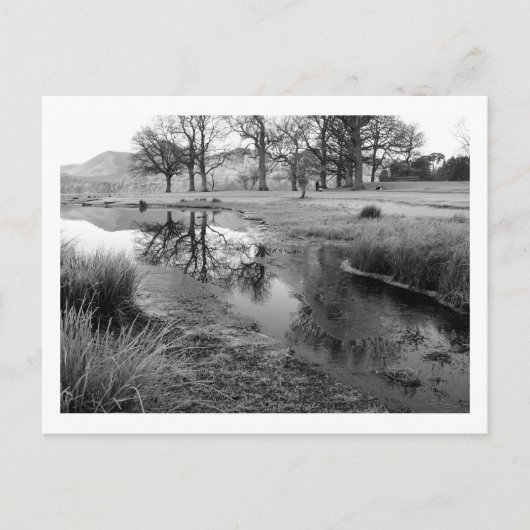 Wintermorgen: Strandshag Bay, Derwentwater Briefkaart (Voorkant)