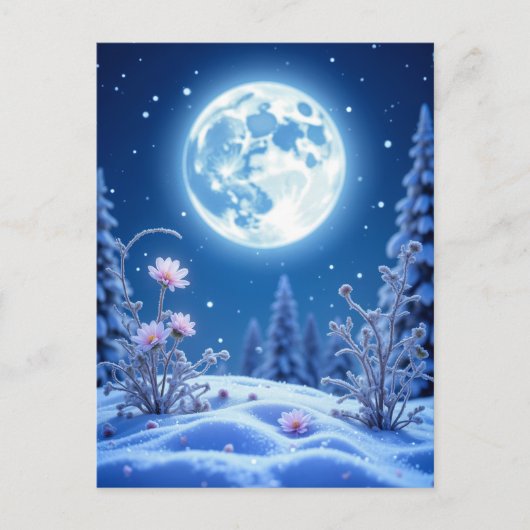 Winternacht, Postcrossing Briefkaart (Voorkant)