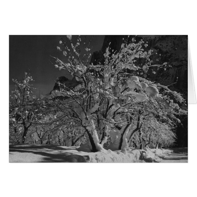 Winternachttijd (Voorkant Horizontaal)