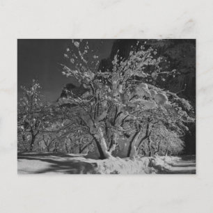 Winternachttijd Briefkaart