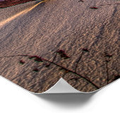 Winternatuur, bevroren vijver, mooi afbeelding, poster (Hoek)