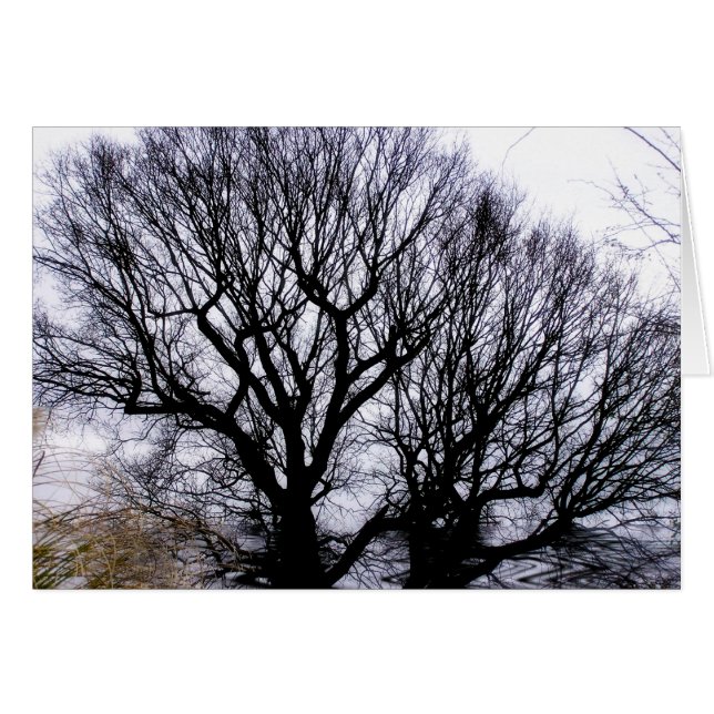 WinterNatuur Kaart (Voorkant Horizontaal)