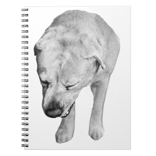 Winternotities met Shaded Lab Muse Notitieboek (Voorkant)