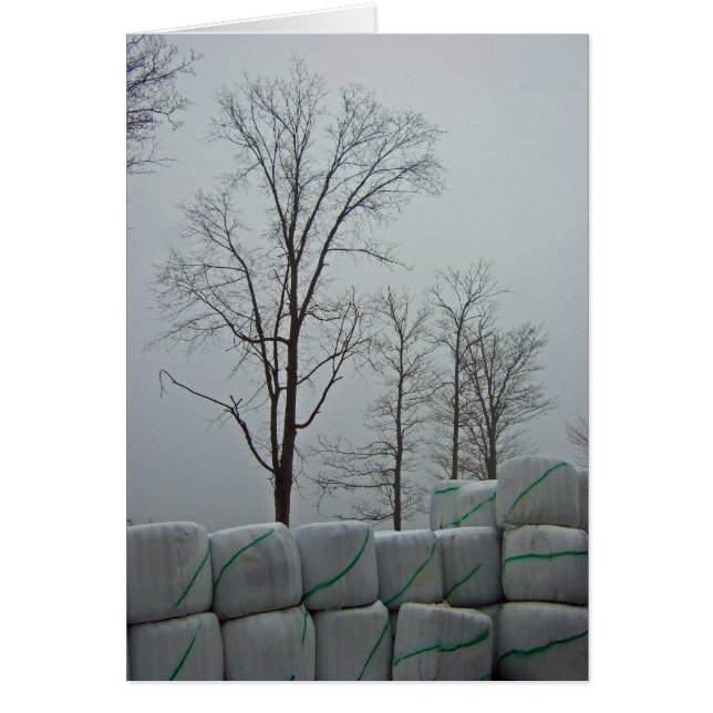 Winterochtend 5 x 7 (Voorkant)