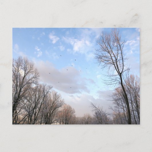 Winterochtend I Briefkaart (Voorkant)