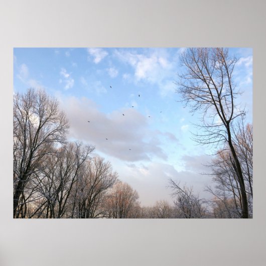 Winterochtend I Poster (Voorkant)