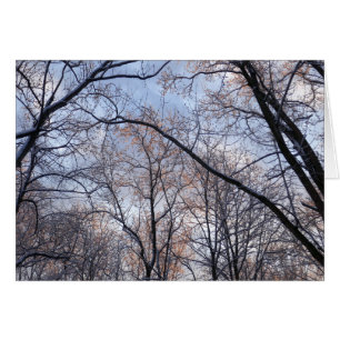 Winterochtend II Natuur Landschap