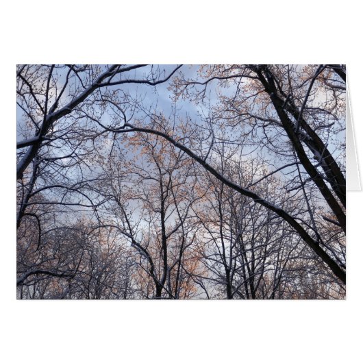 Winterochtend II Natuur Landschap (Voorkant Horizontaal)