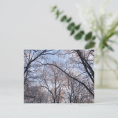 Winterochtend II Natuur Landschap Briefkaart (Staand voorkant)