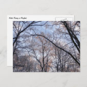 Winterochtend II Natuur Landschap Briefkaart (Voorkant / Achterkant)