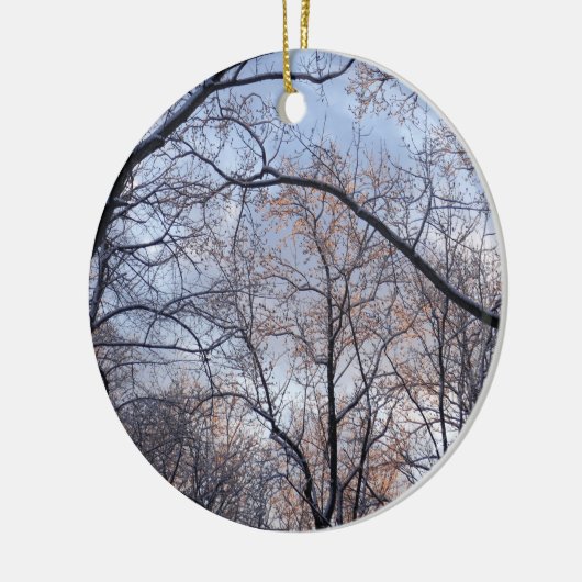 Winterochtend II Natuur Landschap Keramisch Ornament (Links)