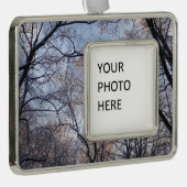 Winterochtend II Natuur Landschap Verzilverd Omlijst Ornament (Rechts)