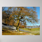 Winterochtend Poster (Voorkant)