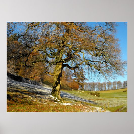 Winterochtend Poster (Voorkant)