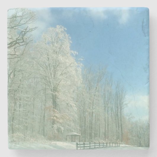 winterochtend stenen onderzetter (Voorkant)