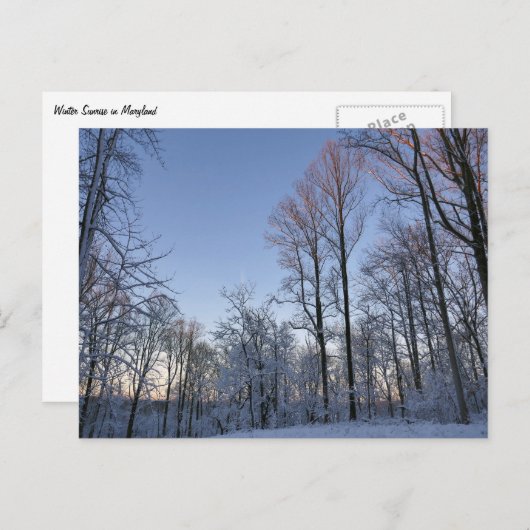 Winterochtendlicht I Briefkaart (Voorkant / Achterkant)