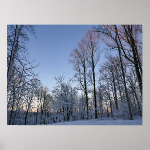 Winterochtendlicht I Poster