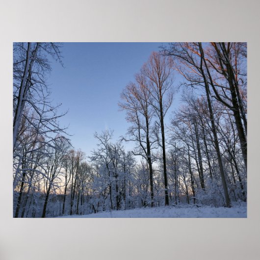 Winterochtendlicht I Poster (Voorkant)