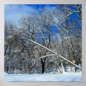 Winterolie van Storm Poster (Voorkant)