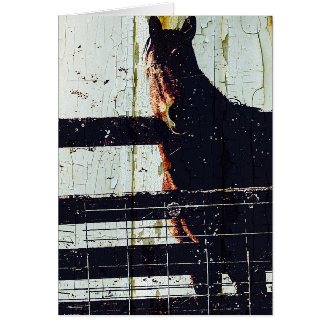 Winterpaard (Voorkant)