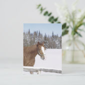 Winterpaard Briefkaart (Staand voorkant)
