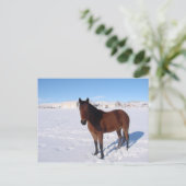 Winterpaard Briefkaart (Staand voorkant)