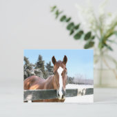 Winterpaard Briefkaart (Staand voorkant)