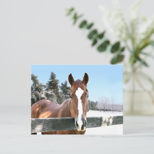 Winterpaard Briefkaart (Staand voorkant)