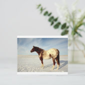 Winterpaard Briefkaart (Staand voorkant)