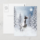 Winterpaard Briefkaart (Voorkant / Achterkant)