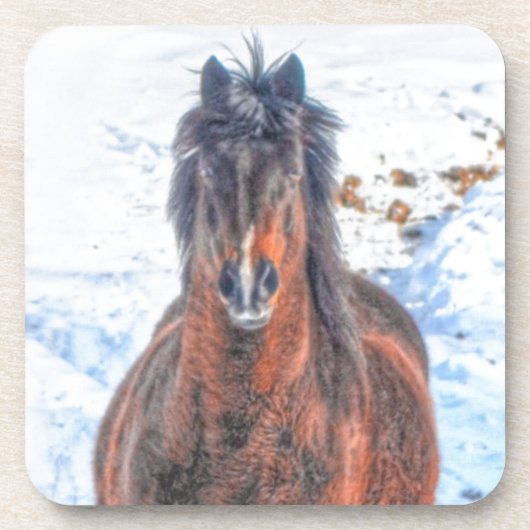 Winterpaard in Snowy Field Bier Onderzetter (Voorkant)