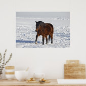 Winterpaard "Jaar van de paarden" Paardenfoto2 Poster (Keuken)