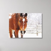 Winterpaard Kerstmis Canvas Afdruk (Voorkant)