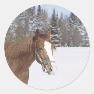 Winterpaard Ronde Sticker
