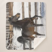 Winterpaard Sherpa Deken (Voorkant)