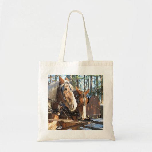 Winterpaarden bij de Canvas tas van het dorp Sturb (Voorkant)