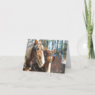 Winterpaarden bij Sturbridge Notitiekaart Leeg Bin