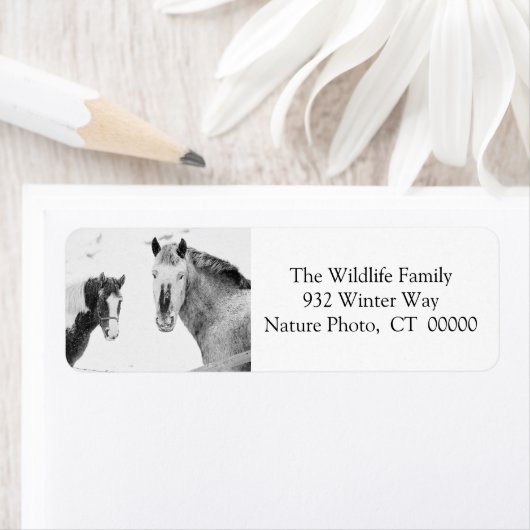 Winterpaarden  kerstlabels etiket (Insitu)