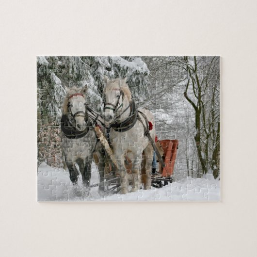 Winterpaarden Legpuzzel (Horizontaal)
