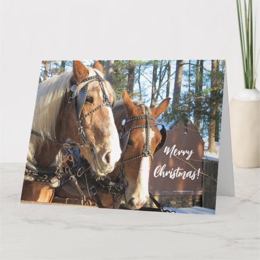 Winterpaarden op Sturbridge Village Kerstkaart Kaart (Voorkant)
